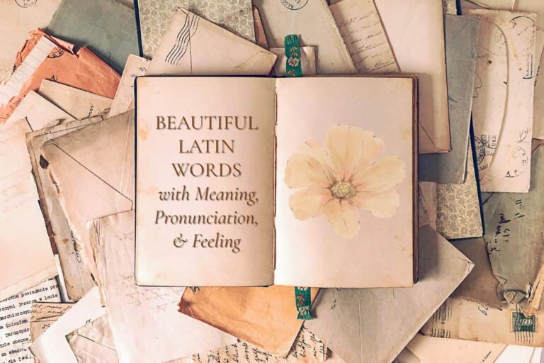 120+ Beautiful Latin Words and Phrases With Meanings for Tattoos, Mottos, and More